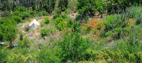 Земельный участок в Ла Пальма, Испания № 162708 5