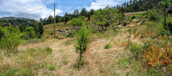 Земельный участок в Ла Пальма, Испания № 162708 7