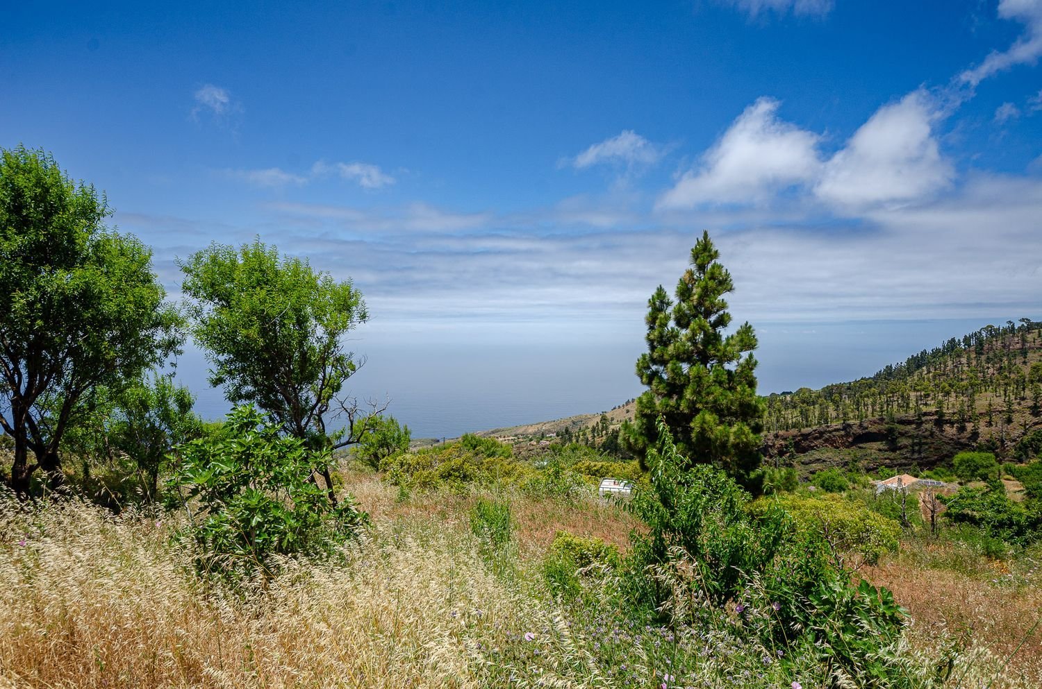 Земельный участок в Ла Пальма, Испания № 162708