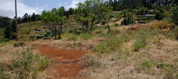 Земельный участок в Ла Пальма, Испания № 162708 8