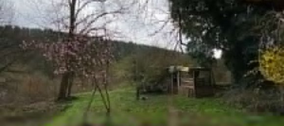 3 غرف نوم منزل في Wingen-sur-Moder, France رقم 94913 25