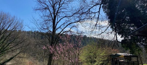 3 غرف نوم منزل في Wingen-sur-Moder, France رقم 94913 26