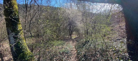 3 غرف نوم منزل في Wingen-sur-Moder, France رقم 94913 30