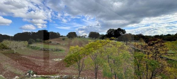 5-Zimmer Villa in Ostuni, Italy, Nr. 19048 52