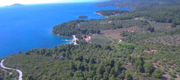 Hotel in Chalkidiki, Greece 23000m², Nr. 5198 9