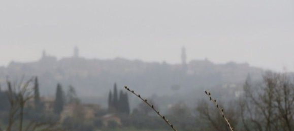 7-Zimmer Haus in Siena, Italy, Nr. 50382 18