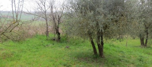 7-Zimmer Haus in Siena, Italy, Nr. 50382 16