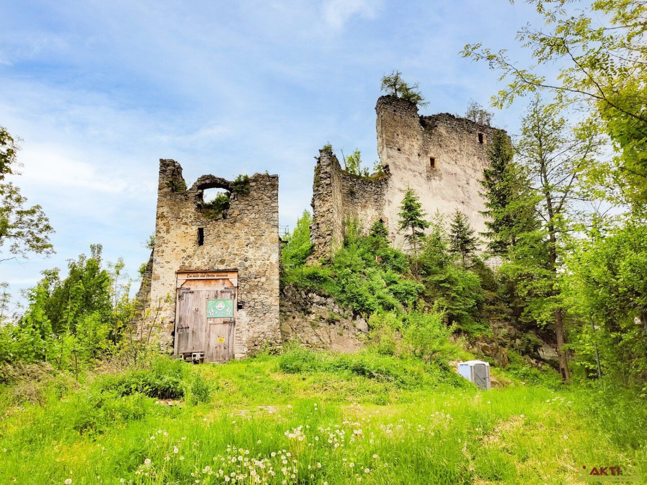 Коммерческая недвижимость 100м² в Леобен, Австрия № 129743