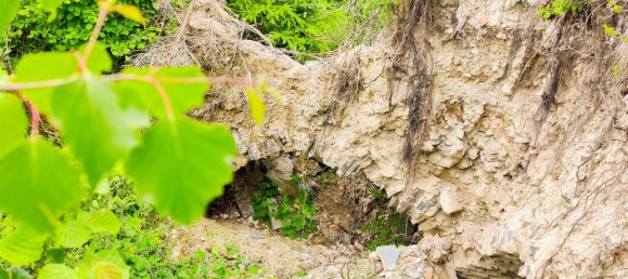 Коммерческая недвижимость 100м² в Леобен, Австрия № 129743 17