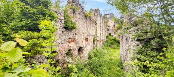 Коммерческая недвижимость 100м² в Леобен, Австрия № 129743 14