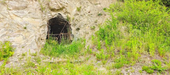 Коммерческая недвижимость 100м² в Леобен, Австрия № 129743 21