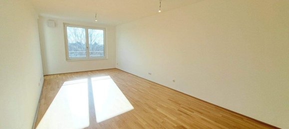4-Zimmer Wohnung in Deutsch-Wagram, Austria, Nr. 254794 4