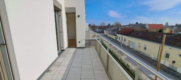 4-Zimmer Wohnung in Deutsch-Wagram, Austria, Nr. 254794 13