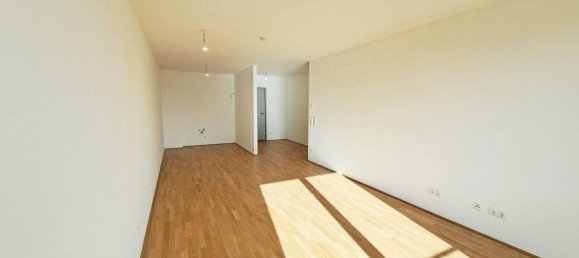 4-Zimmer Wohnung in Deutsch-Wagram, Austria, Nr. 254794 3