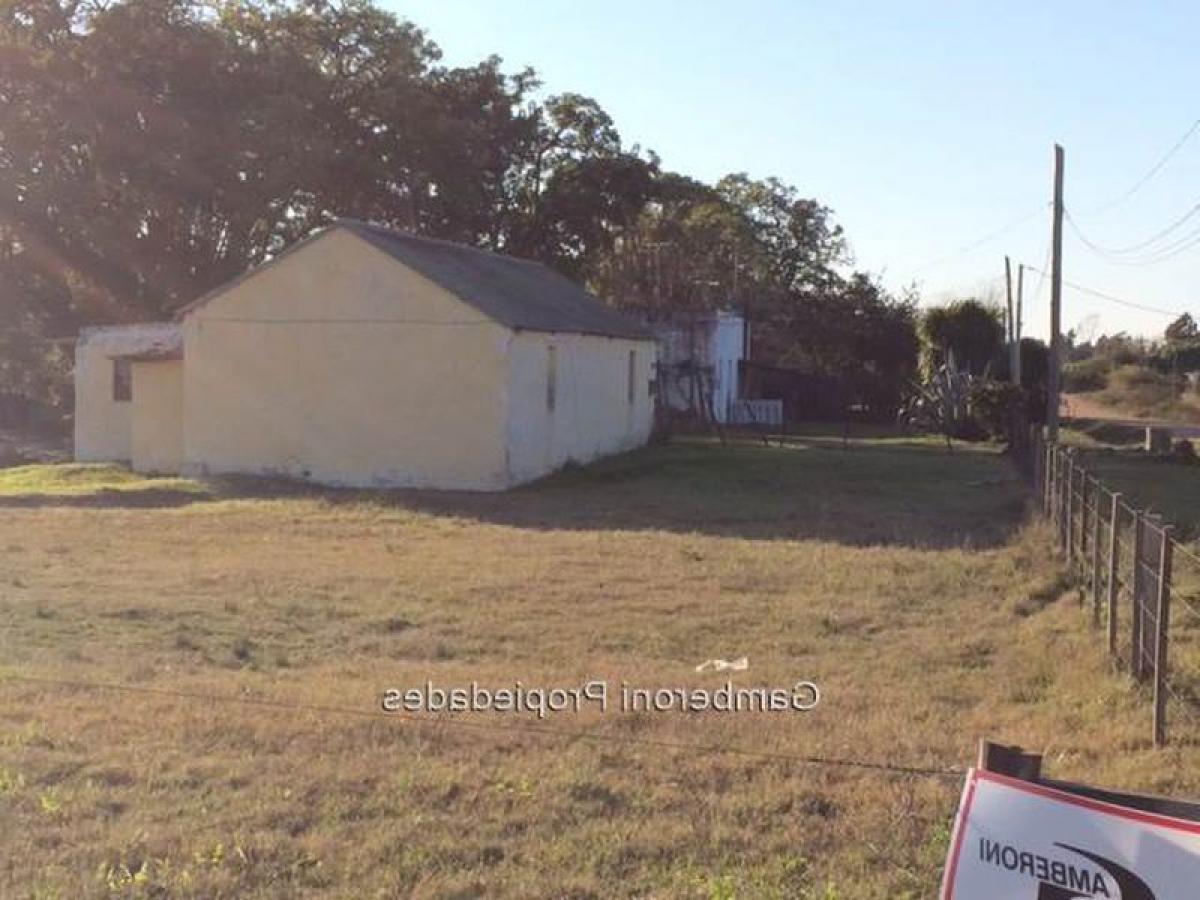 5 bedrooms House in Montevideo, Uruguay No. 1940