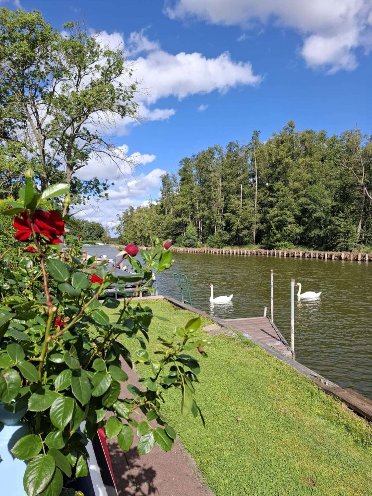 Земельный участок в Восточный Пригниц-Руппин, Германия № 266068