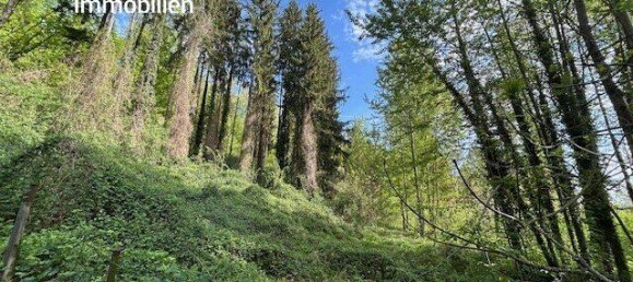 Земельный участок в Зирнинг, Австрия № 135022 2