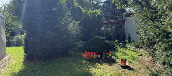 341m² Building in Saxony-Anhalt, Germany No. 314888 5