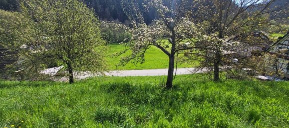 قطعة أرض في Calw, Germany رقم 23923 2