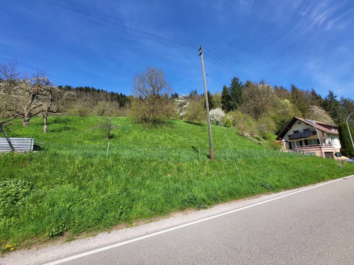  قطعة أرض في Calw, Germany رقم 23923