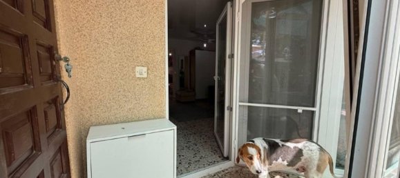 Bungalow T2 em Torrevieja, Spain N.º 178489 14