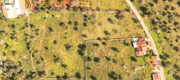 7400m² Land in Silves, Portugal No. 77493 3