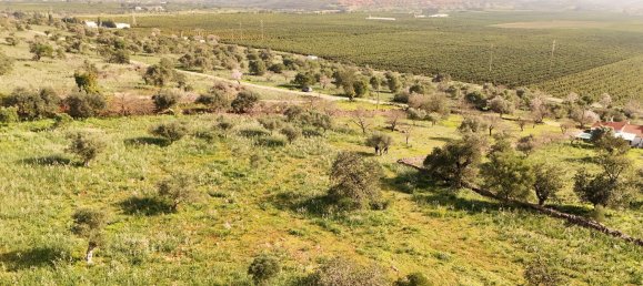 7400m² Land in Silves, Portugal No. 77493 2