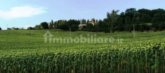 5-Zimmer Gewerbliche Immobilie in Cetona, Italy, Nr. 208843 10