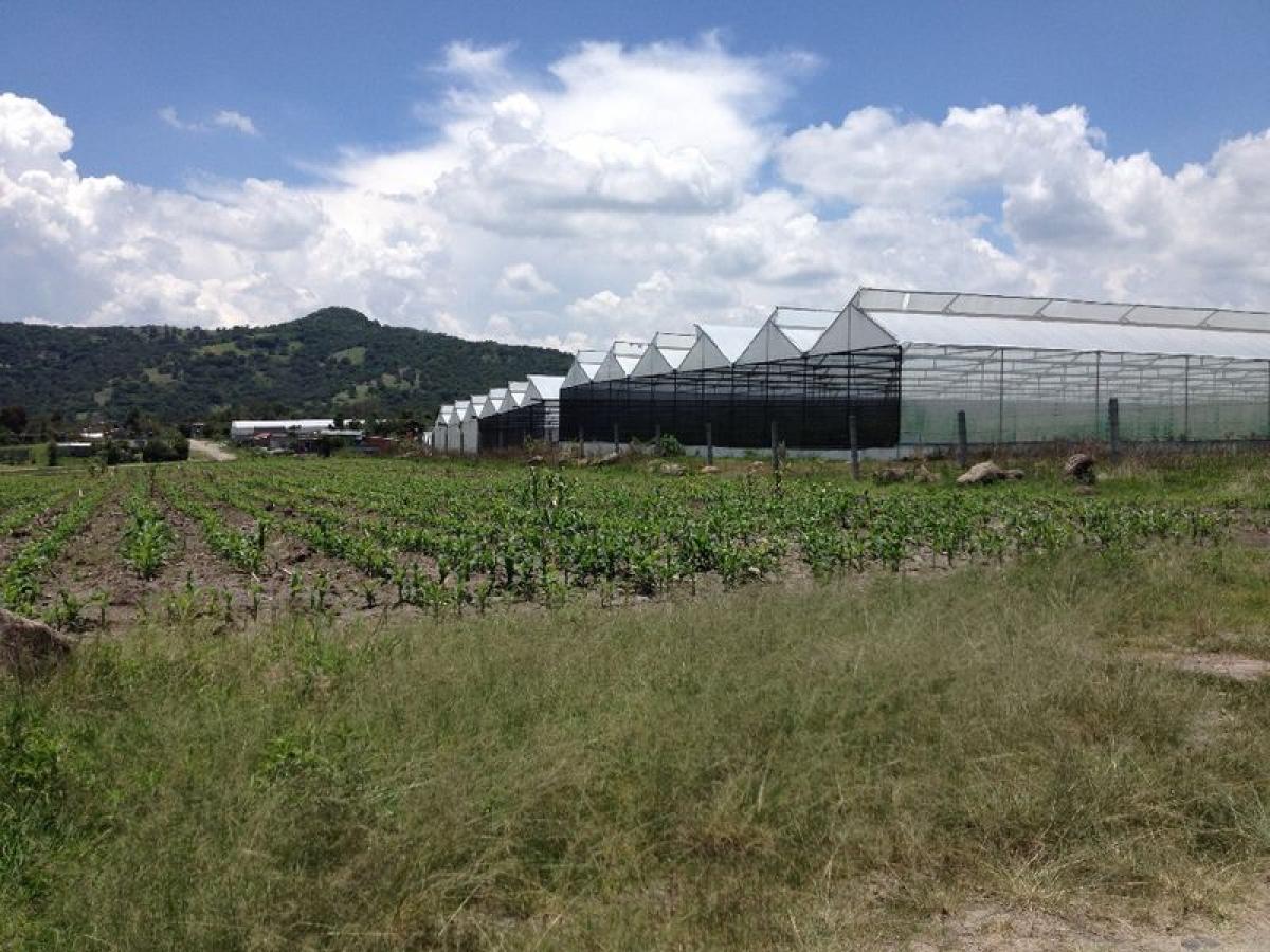 Grundstück in Tonatico, Mexico, Nr. 204413