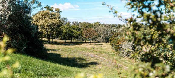 3غرفة شقة في Vienna, Austria رقم 217928 23