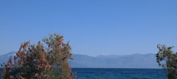 3 bedrooms Commercial property in Achaea, Greece No. 5386 2