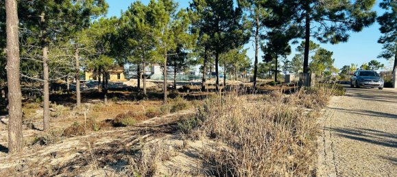 225m² Land in Grandola, Portugal No. 113215 10