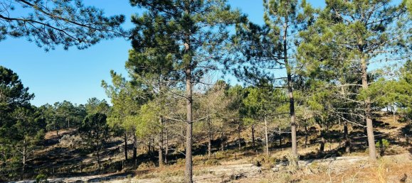 225m² Land in Grandola, Portugal No. 113215 9