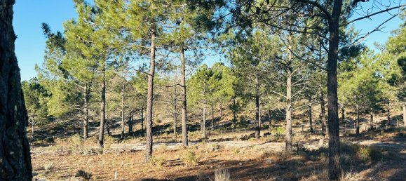 225m² Land in Grandola, Portugal No. 113215 8