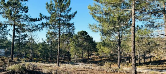 225m² Land in Grandola, Portugal No. 113215 3