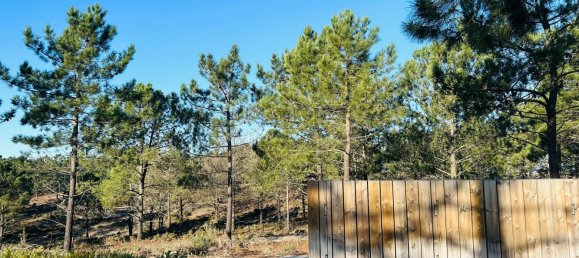 225m² Land in Grandola, Portugal No. 113215 4