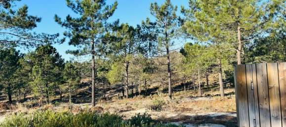 225m² Land in Grandola, Portugal No. 113215 5