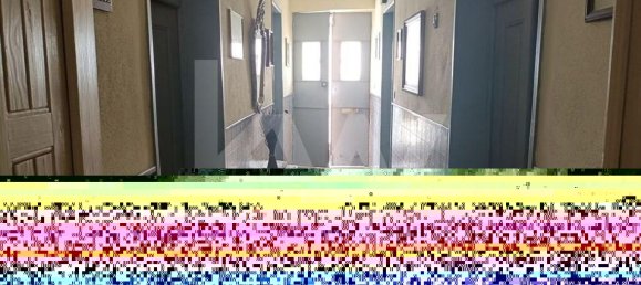 4 bedrooms House in Vidigueira, Portugal No. 24464 11