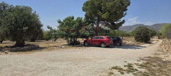 Villa de 4 dormitorios en Sax, Spain No. 149416 21