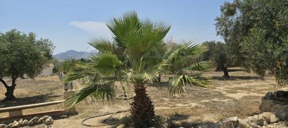 Villa de 4 dormitorios en Sax, Spain No. 149416 20