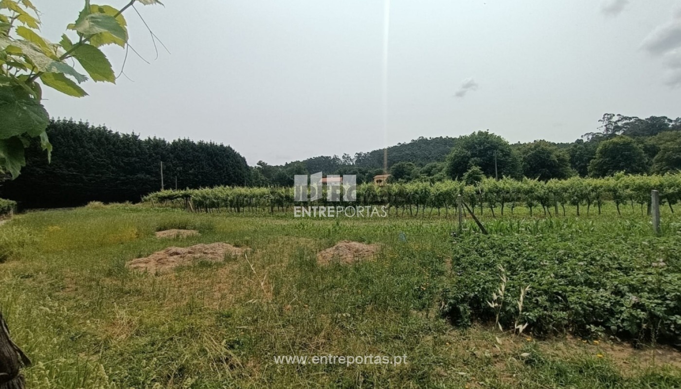 1 غرف نوم قطعة أرض في Ponte de Lima, Portugal رقم 233349