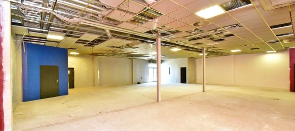 950m² Warehouse in Heidekreis, Germany No. 283450 6