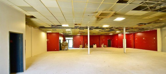 950m² Warehouse in Heidekreis, Germany No. 283450 4