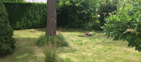 Grundstück in Barnim, Germany, Nr. 258418 3