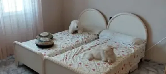 6 Schlafzimmer Haus in Castellon, Spain, Nr. 83814 20