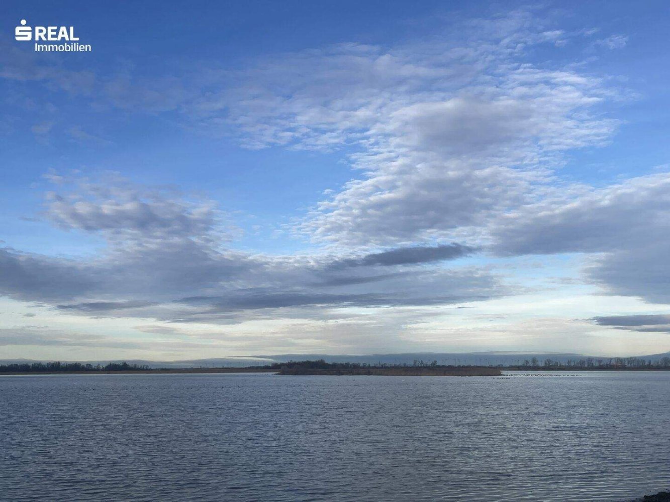 Terrain à Apetlon, Austria No. 65920