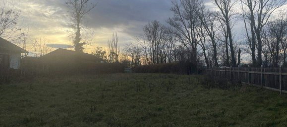 Terrain à Apetlon, Austria No. 65920 7