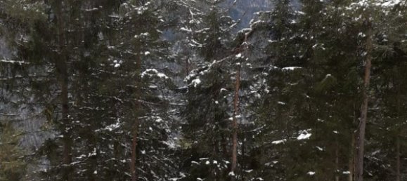 Villa de 4 divisões em Borca di Cadore, Italy N.º 277398 16