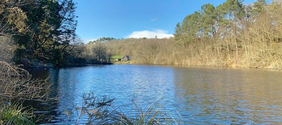 Casa de 3 dormitorios en Plouay, France No. 271780 17