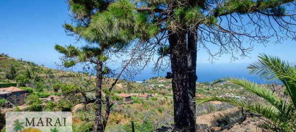 Дом с 1 спальней в Ла Пальма, Испания № 152003 17